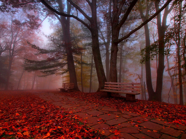 Обои картинки фото природа, дороги, деревья, листья, bench, nature, hdr, walk, autumn, colors, road, grass, park, trees, leaves, трава, парк, скамейка, прогулка, осень