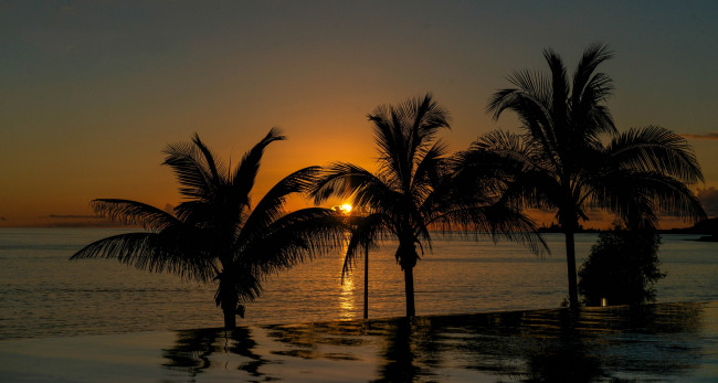 Обои картинки фото природа, восходы, закаты, океан, пальмы, пляж, тропики