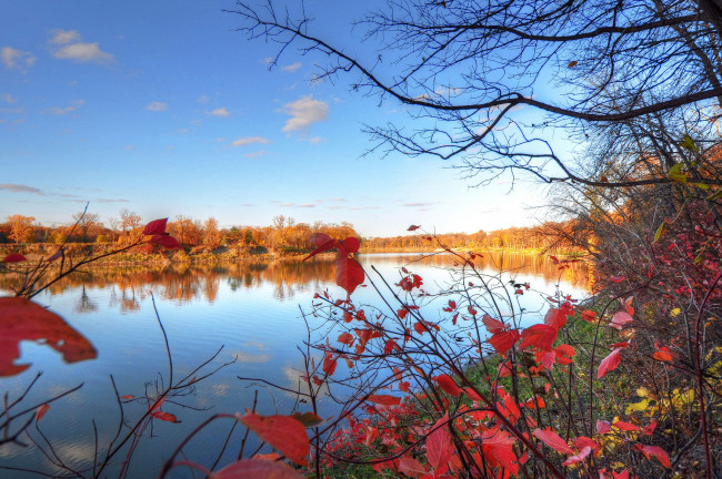 Обои картинки фото природа, реки, озера, осень, листья, деревья, река, небо
