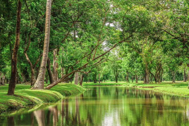 Обои картинки фото природа, реки, озера, таиланд, красота, деревья, река, пейзаж