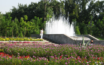обоя города, - фонтаны, цветы, лето, парк, стена, воды