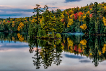 Картинка природа реки озера отражение деревья островок парк