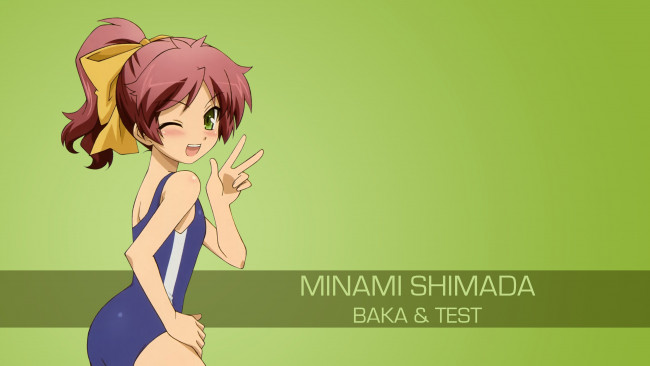 Обои картинки фото аниме, baka to test to shoukanjuu, взгляд, фон, девушка