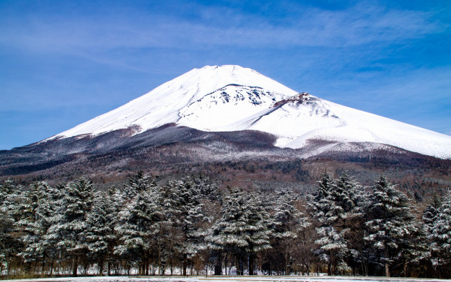 Обои картинки фото природа, горы, Япония, деревья, пейзаж, вулкан, гора, fuji