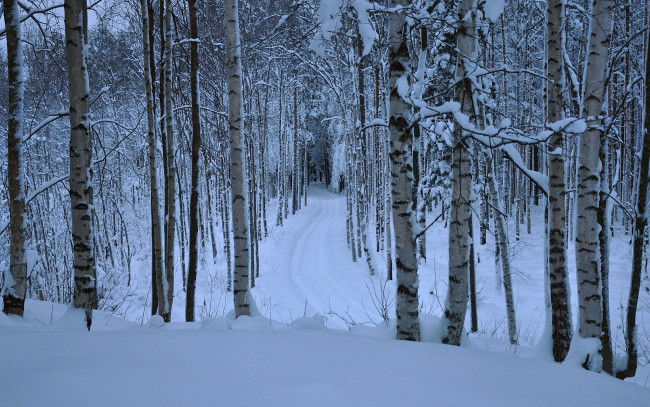 Обои картинки фото природа, зима, дорога, снег, лес