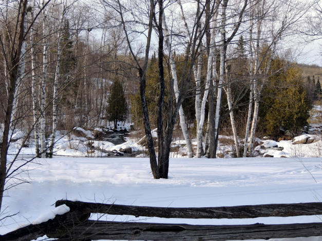 Обои картинки фото природа, зима, березы, снег