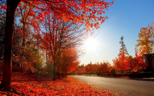 Обои картинки фото природа, дороги, листопад, листья, осень