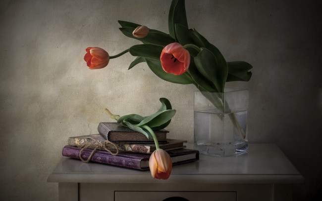 Обои картинки фото цветы, тюльпаны, книги, ваза