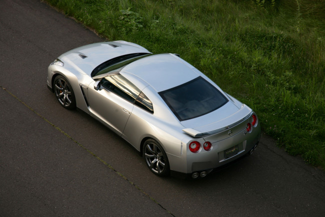 Обои картинки фото nissan gt-r, автомобили, nissan, datsun, ниссан, серебристый, дорога, трава