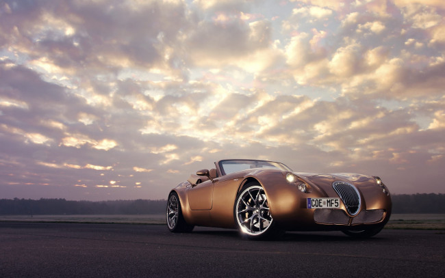 Обои картинки фото автомобили, wiesmann, коричневый, кабриолет, облака