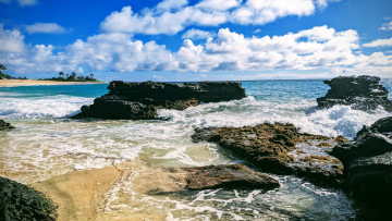 обоя sandy beach, oahu, hawaii, природа, побережье, sandy, beach