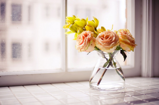 Обои картинки фото цветы, разные, вместе, вазочка, подоконник, розы, окно