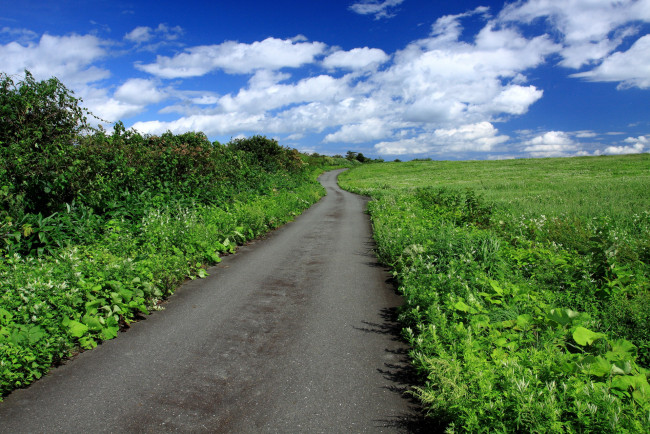 Обои картинки фото природа, дороги, трава, облака