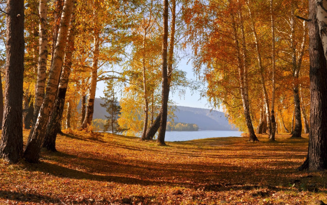 Обои картинки фото природа, лес, осень, горы, озеро