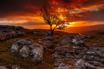 Картинка природа восходы закаты дорога деревья закат камни зарево горы тучи небо