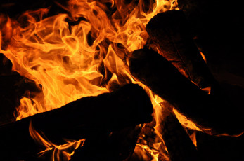 Картинка природа огонь поленья пламя