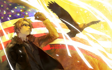 Картинка аниме hetalia +axis+powers орёл парень птица флаг арт америка