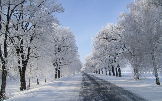 Обои картинки фото природа, дороги, снег, зима, поземка, дорога, деревья