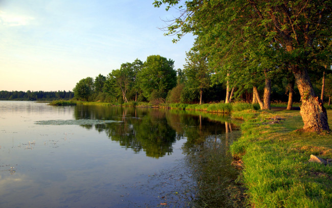 Обои картинки фото природа, реки, озера, берег, трава, деревья