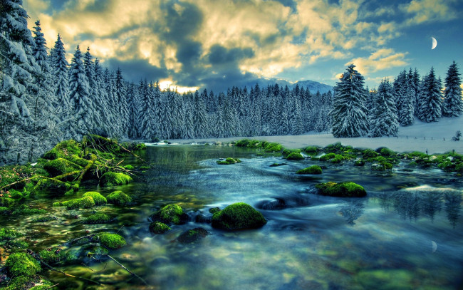 Обои картинки фото природа, реки, озера, мох, камни, река, луна, облака, лес
