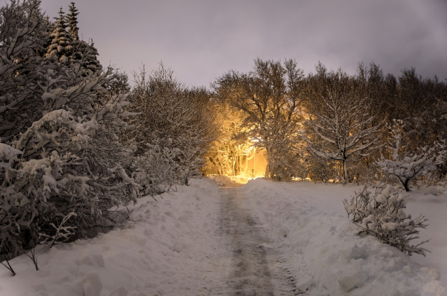 Обои картинки фото природа, зима, лес, снег, вечер