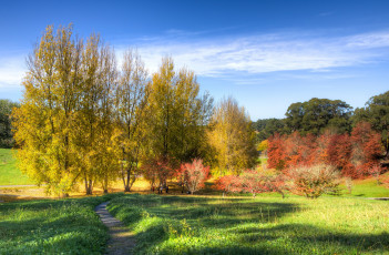 Картинка природа пейзажи mount lofty botanic garden парк австралия солнце осень облака трава небо деревья кусты тропинка