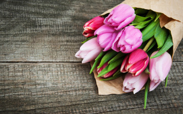 Картинка цветы тюльпаны бутоны разноцветные