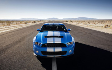 Картинка 2010 ford shelby gt500 автомобили mustang