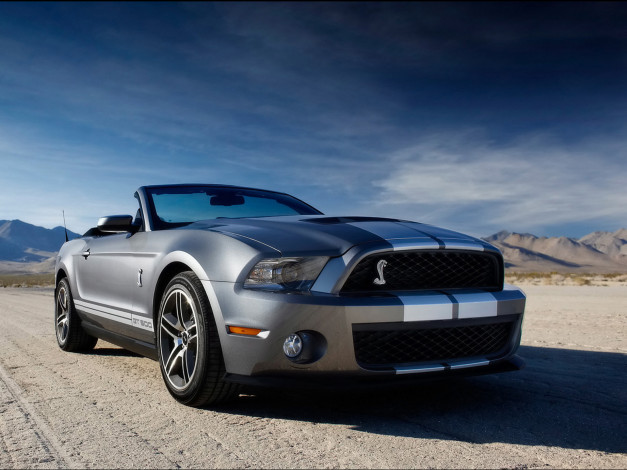 Обои картинки фото 2010, ford, shelby, gt500, автомобили