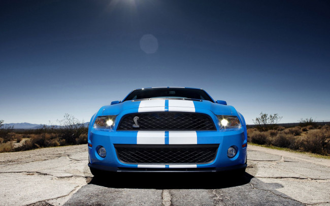 Обои картинки фото 2010, ford, shelby, gt500, автомобили, mustang