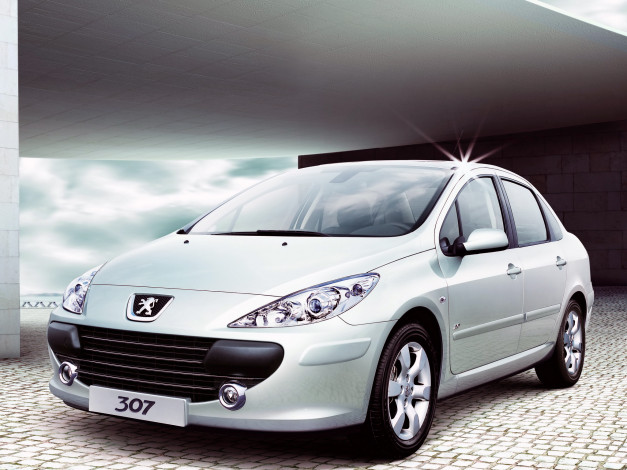 Обои картинки фото автомобили, peugeot, 307