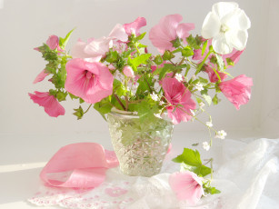 Картинка цветы лаватера ваза