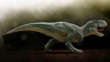 Картинка 3д графика animals животные тиранозавр рекс динозавр