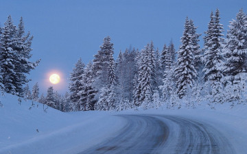 обоя природа, зима, снег, дорога, лес, деревья, сумерки, луна