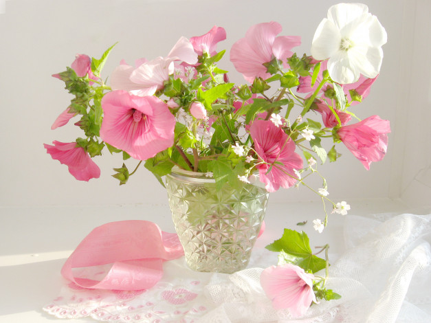 Обои картинки фото цветы, лаватера, ваза