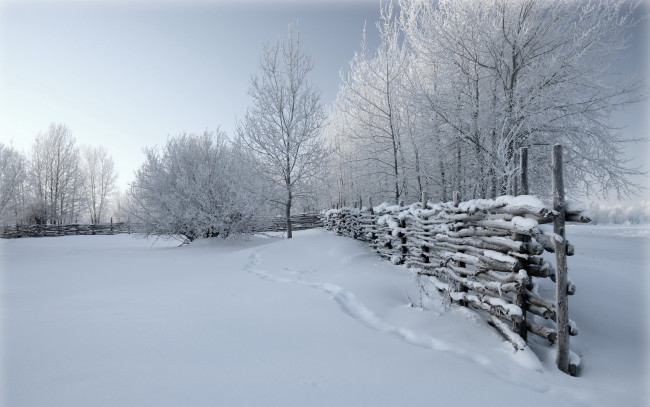 Обои картинки фото №599105, природа, зима, снег, деревья, забор