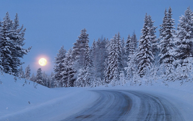Обои картинки фото природа, зима, снег, дорога, лес, деревья, сумерки, луна