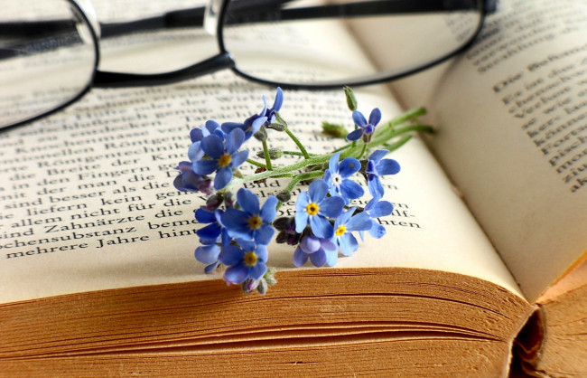 Обои картинки фото цветы, незабудки, очки, книга