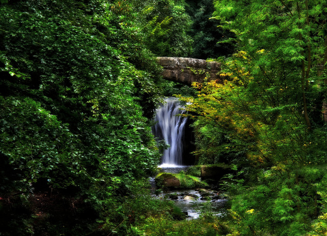 Обои картинки фото природа, водопады, лес