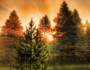 Картинка montana wyoming yellowstone природа восходы закаты лес закат