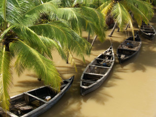 Картинка корабли лодки шлюпки тропики река