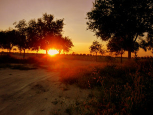 Картинка природа восходы закаты поле деревья кусты солнце