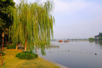 Картинка китай Чжэцзян ханьчжоу природа парк река растения
