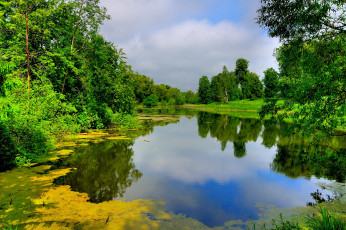 Картинка природа реки озера водная гладь