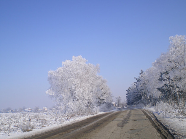 Обои картинки фото природа, зима, деревья, дорога, снег