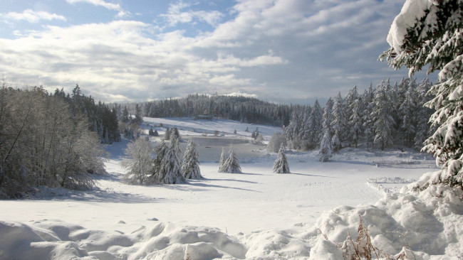 Обои картинки фото природа, зима, сугробы, ели, снег, облака