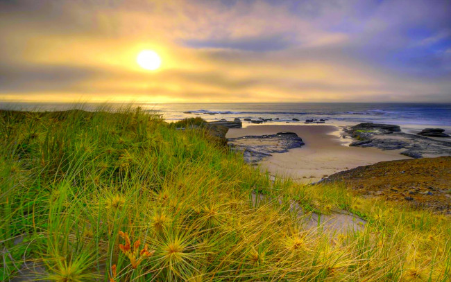 Обои картинки фото природа, восходы, закаты, солнце, океан, пляж, трава, тучи