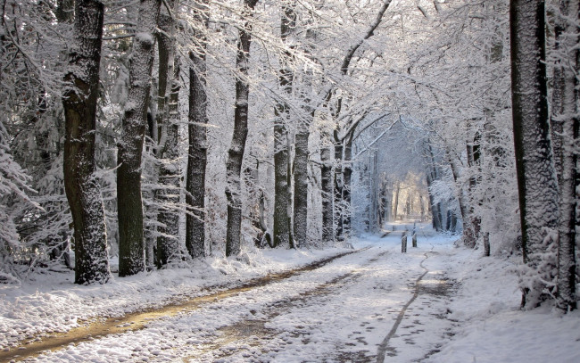 Обои картинки фото природа, зима, дорога