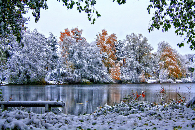 Обои картинки фото германия, лаупхайм, природа, реки, озера, река, снег, зима, лес