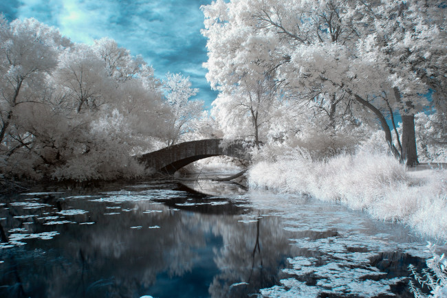 Обои картинки фото природа, зима, вода, мост, иней, деревья